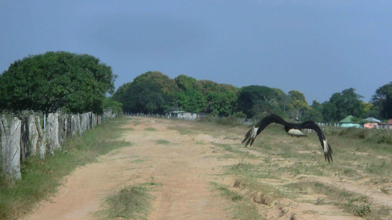 Виктория Иоаннидис | Москва