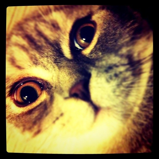 Денис Вайнер Den | Москва