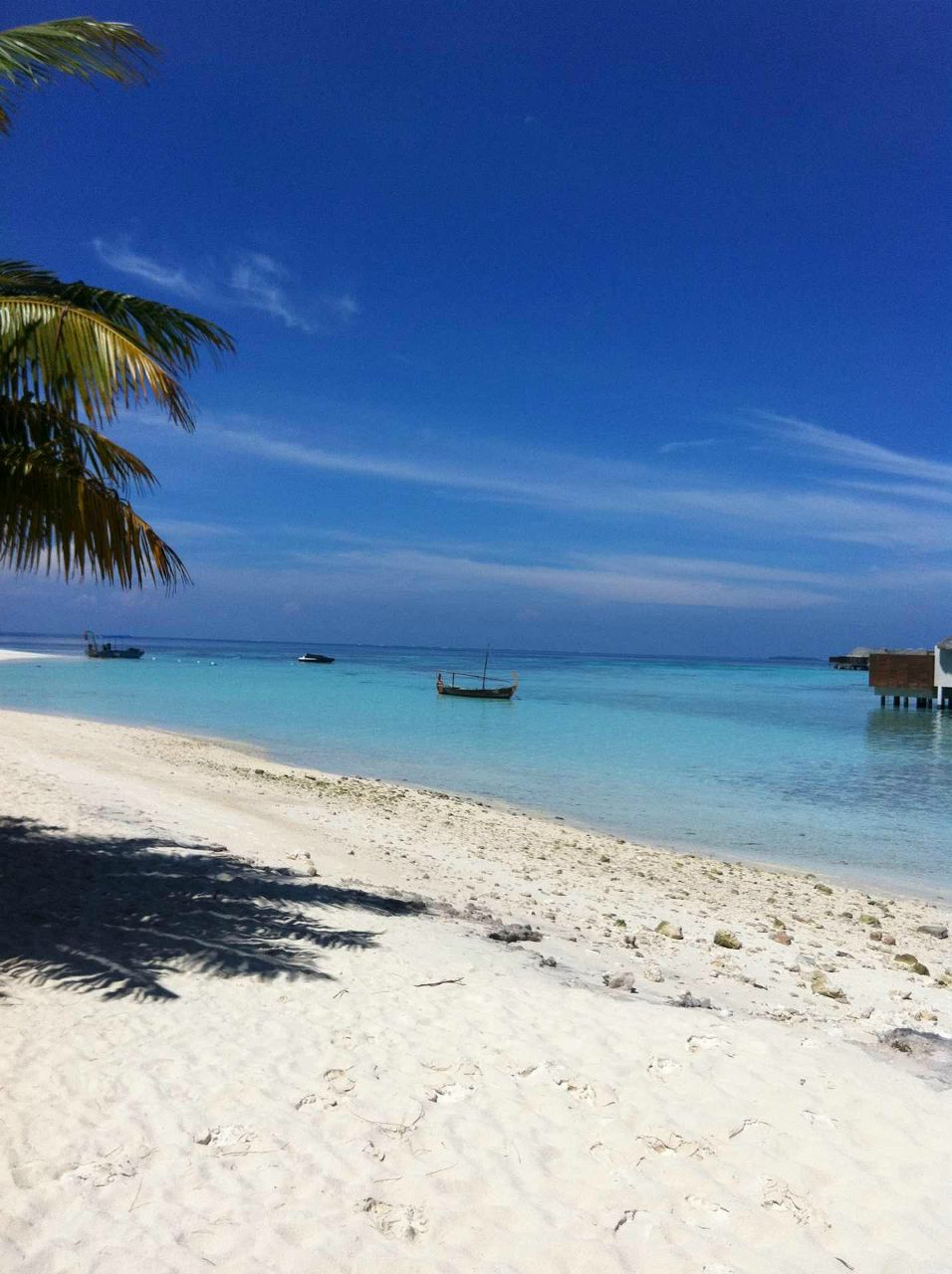 Антон Соколов | Лыткарино