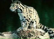 Фотография Маргарита Рогачёва