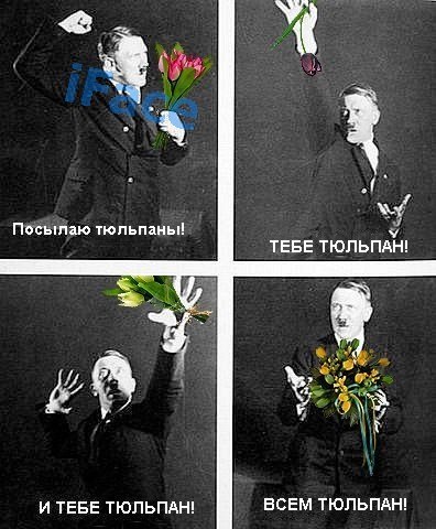 №2, Георгий Золоторёв, 43 года, Ульяновск №2, Георгий Золоторёв, 43 года, Ульяновск