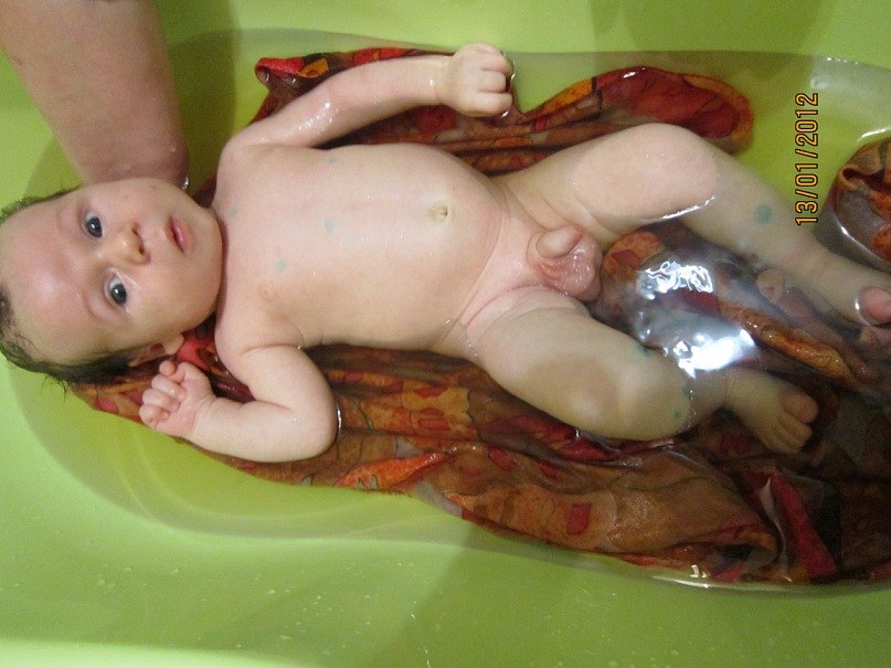 Антонина Тарасенко-Максимова | Ленино