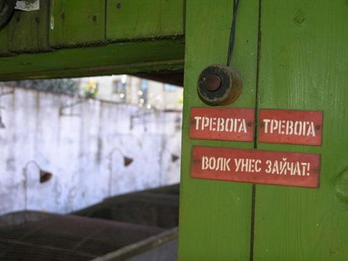 Александр Нейжмак | Днепр (Днепропетровск)