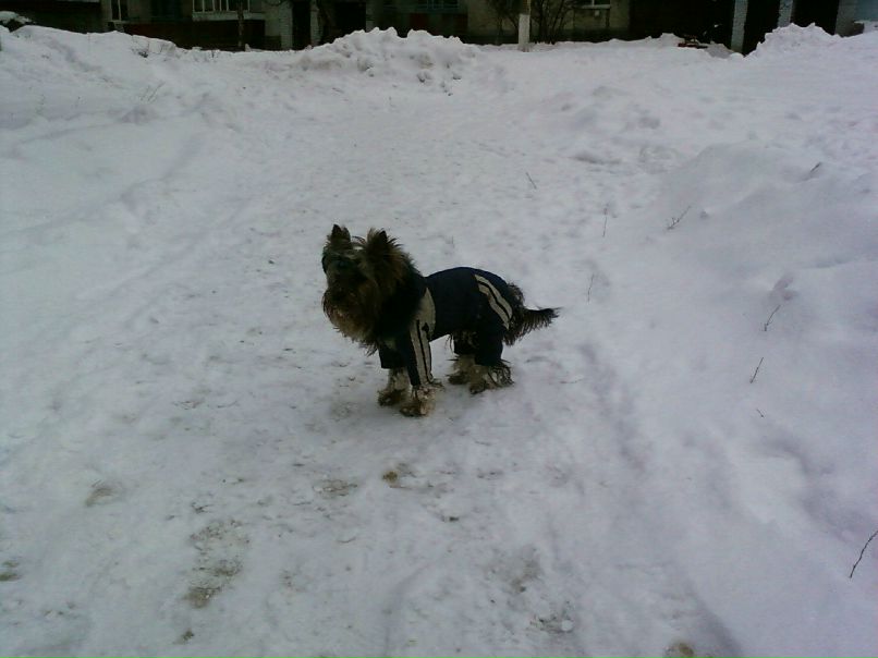 Марина Николаева | Рубежное