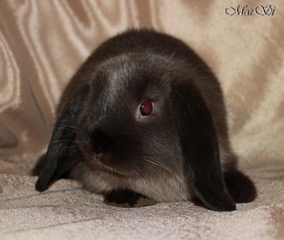 Мария Манишкина | Люберцы