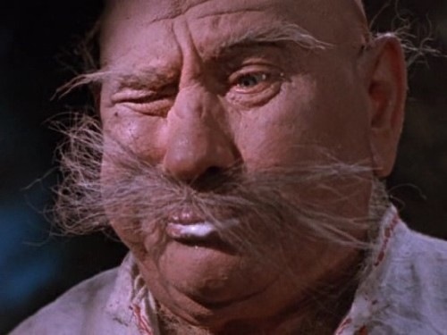 №78, Денис Дубровский, 38 лет, Нежин №78, Денис Дубровский, 38 лет, Нежин