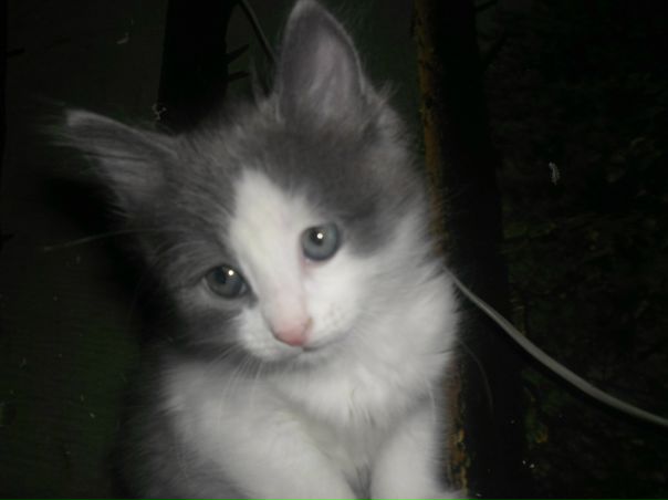 №12, Елена Клебанова №12, Елена Клебанова