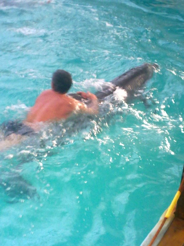 Ирина Костюк-Ткаченко | Волгодонск