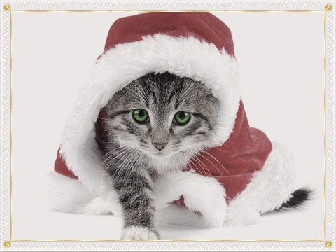 №12, Анастасия Михайлова, Черногорск №12, Анастасия Михайлова, Черногорск