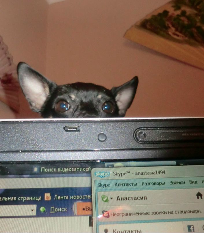 Анастасия Январёва | Воскресенск