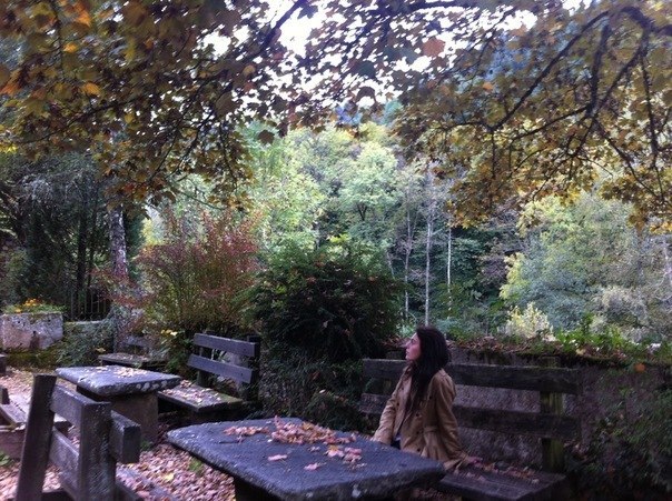 Василиса Лаврентьева | 