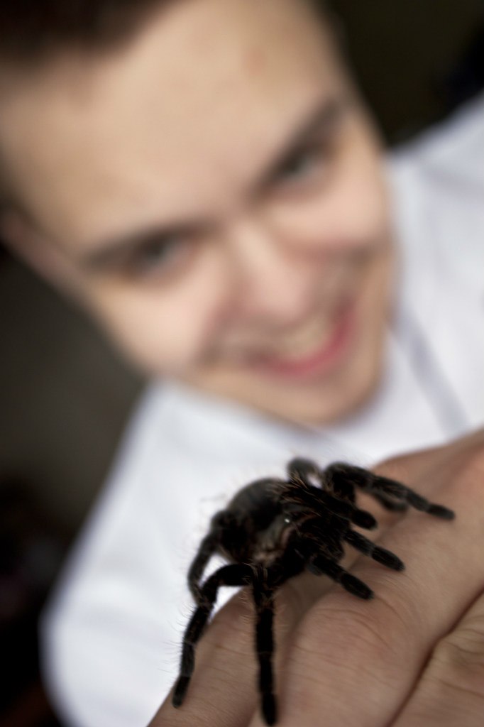 Den Костюшевский | Минск