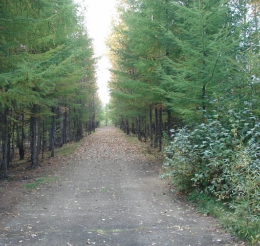 Андрей Бородин Викторович | Санкт-Петербург