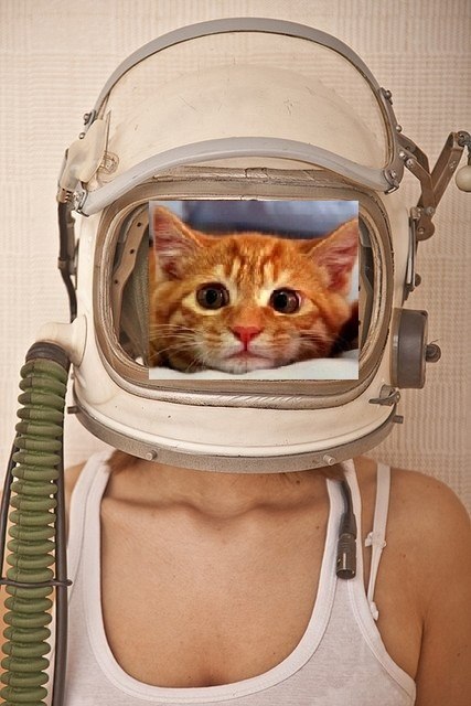 Ирэн Пуговица | 