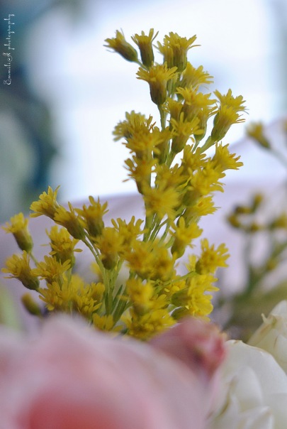 №15, Любовь Локо, Казань №15, Любовь Локо, Казань