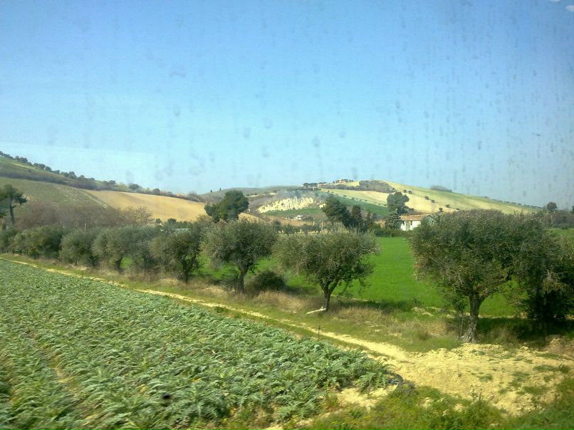 David Davidenko | Milano