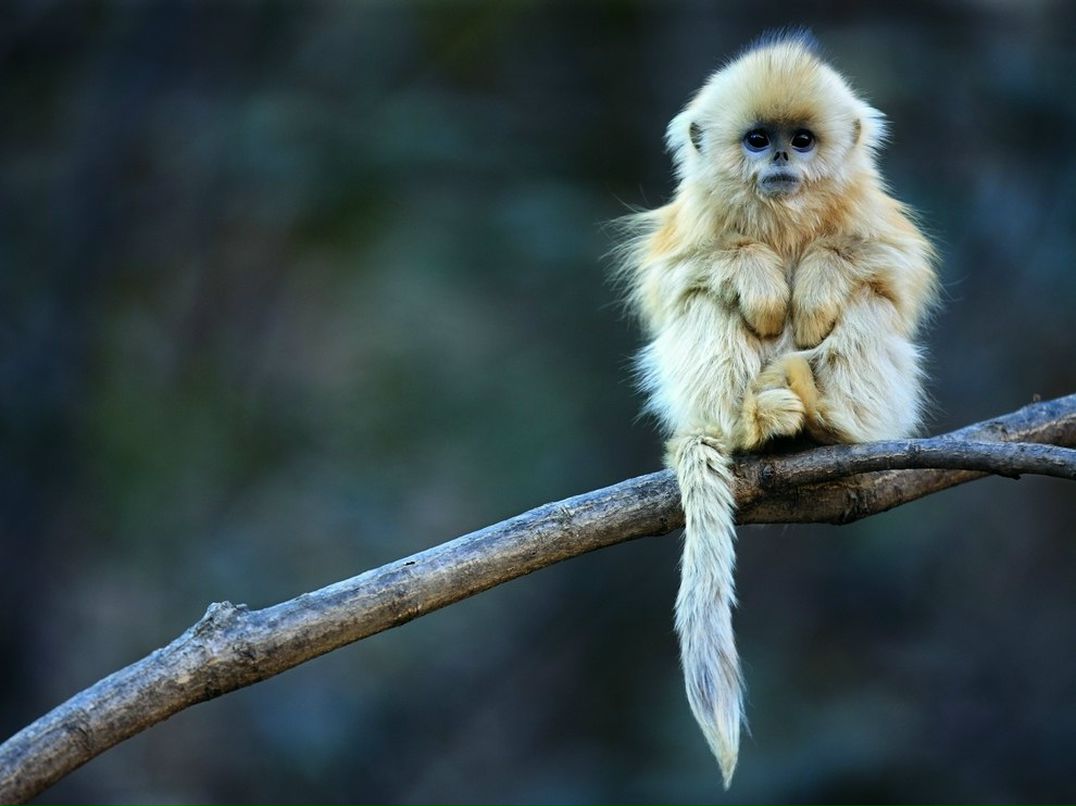 Анечка Земзерова | Москва