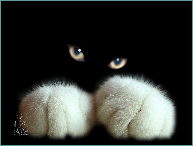 Дарина Невская | Санкт-Петербург