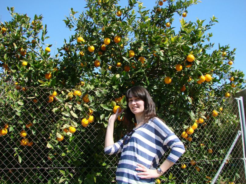 Анна Сварицевич | Wrocław