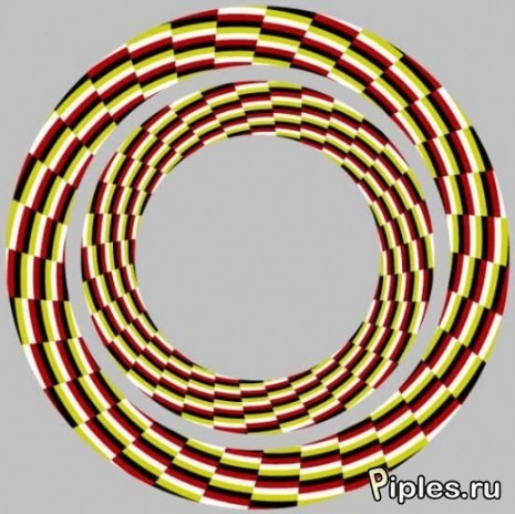 Евгений Степурко | Смолевичи