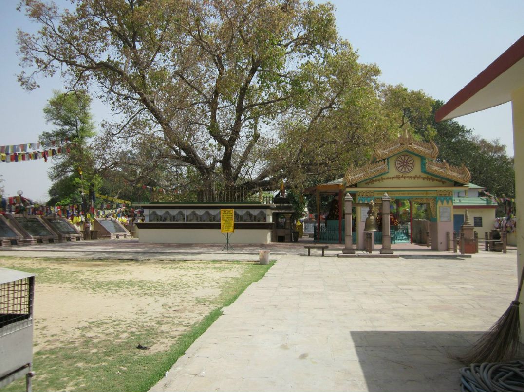 Rust Rust | Санкт-Петербург