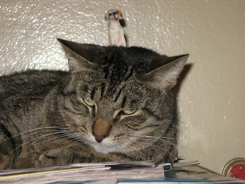 Nickolas Rocknroll | Санкт-Петербург