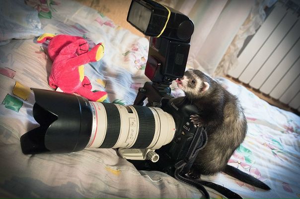 №43, Эдуард Валерьевич, 58 лет, Новороссийск, Россия №43, Эдуард Валерьевич, 58 лет, Новороссийск, Россия