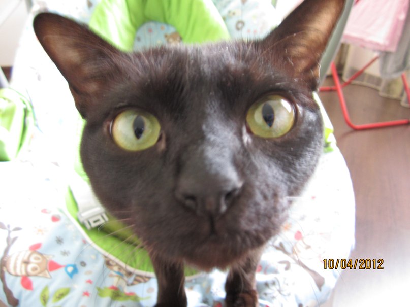 Галина Никулушкина | Санкт-Петербург