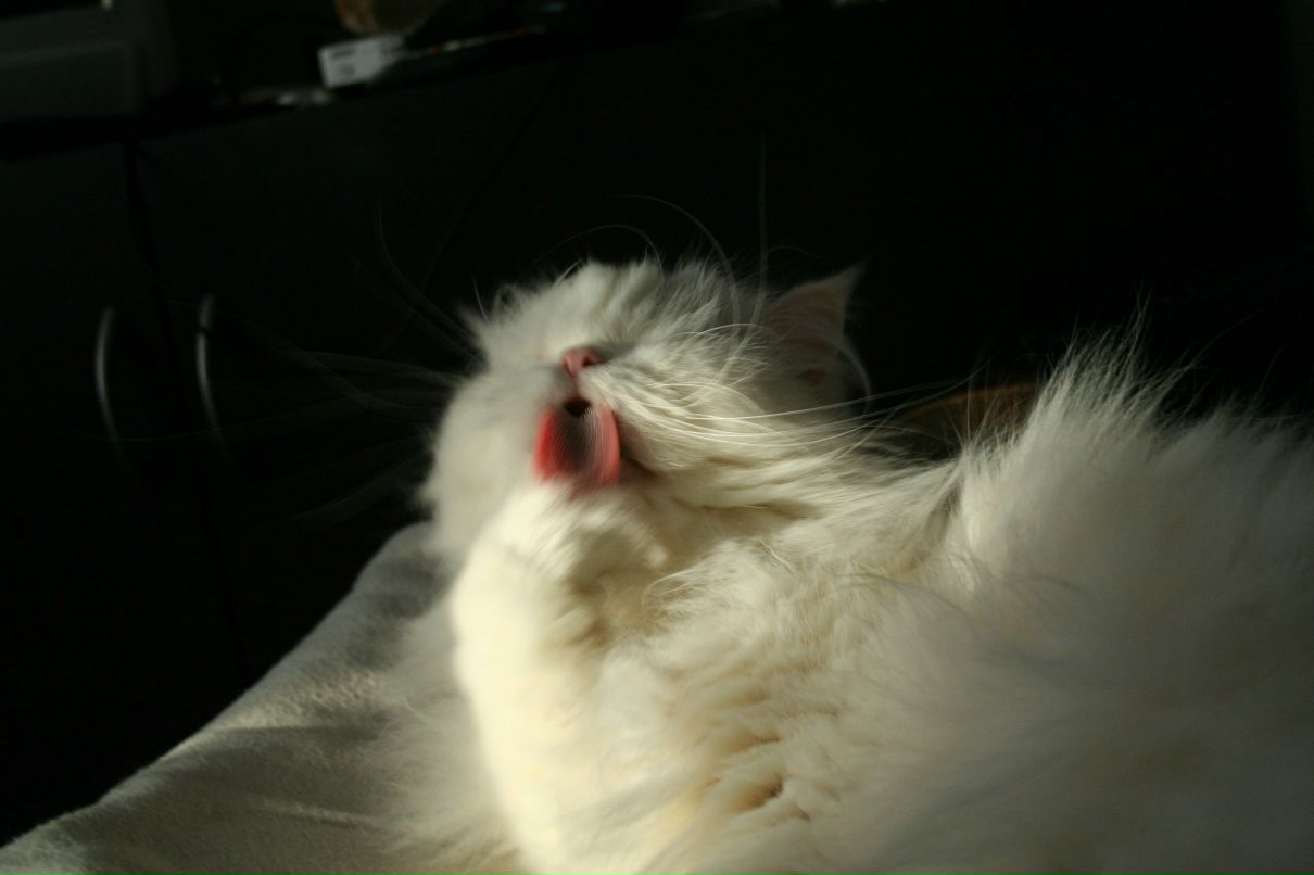 Svetlana Andronnikova ♥ | Москва