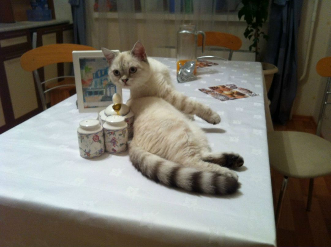 Диана Гаянова | Казань