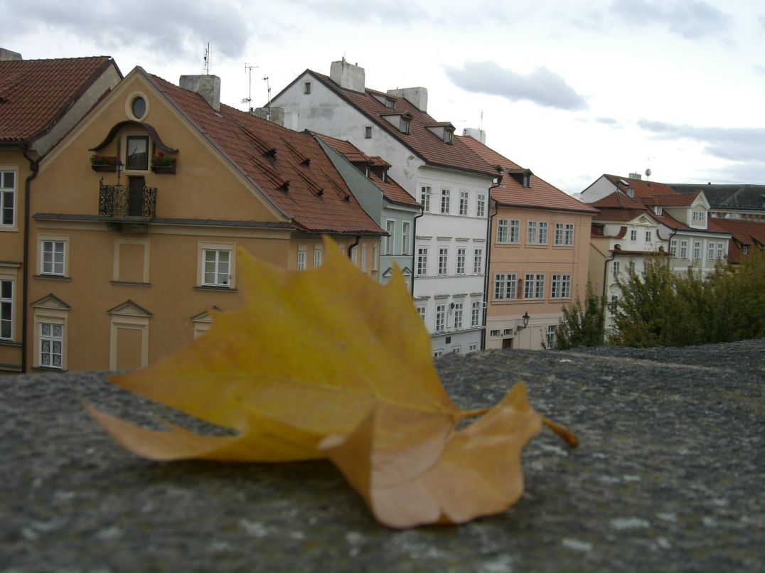 Анжелика Богданова | 