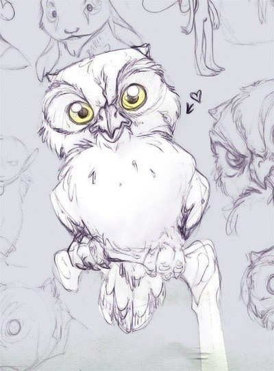 Eduard Komarov | Калининград