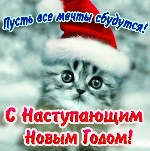 №103, Захид Хан, Одесса №103, Захид Хан, Одесса