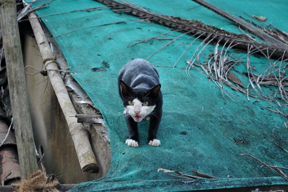 Наталья Анатольевна | Киев