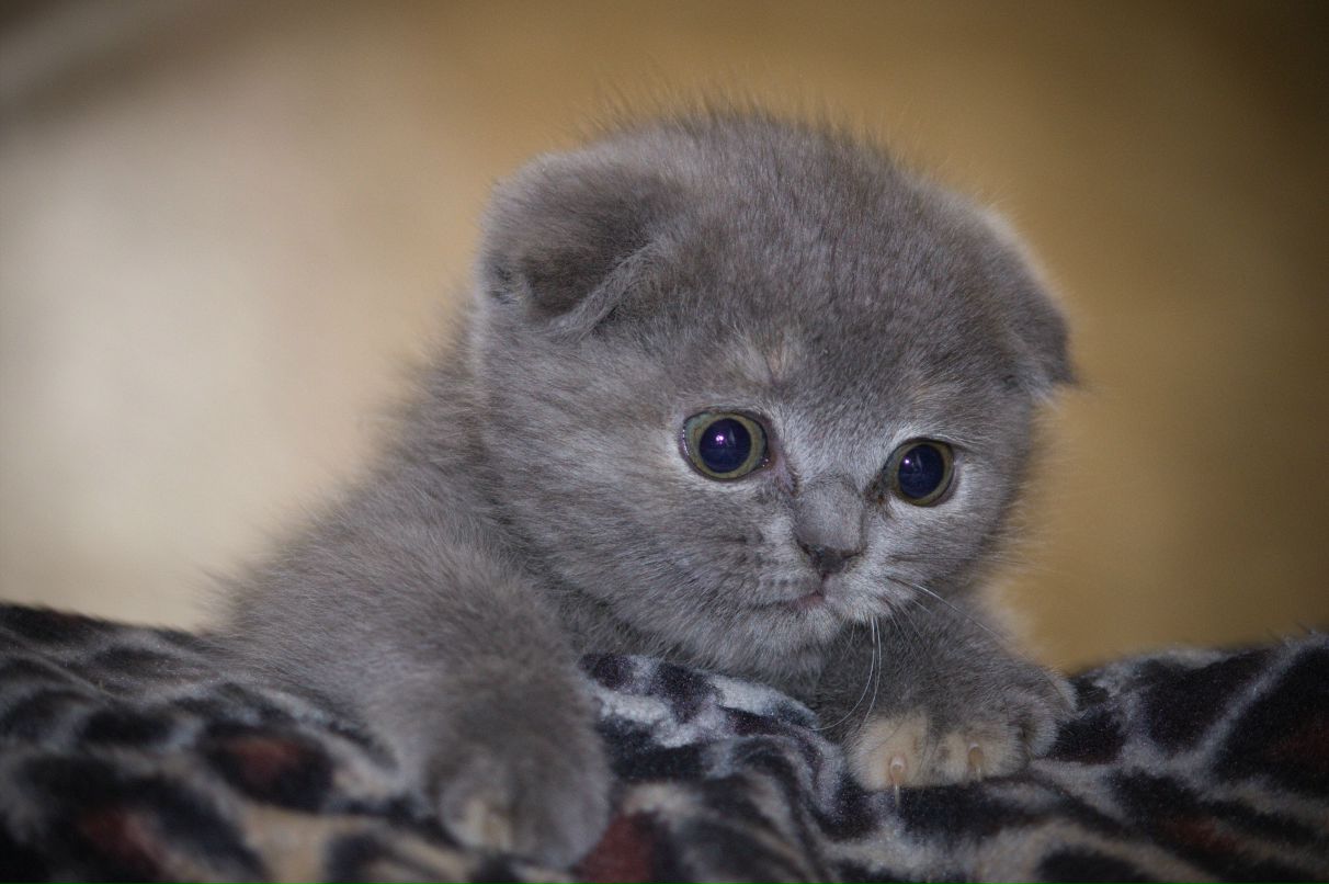 Валерия Василькова | Хабаровск