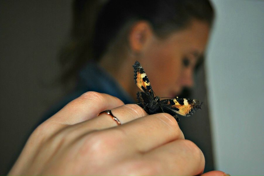 №99, Эльфия Князькова, Санкт-Петербург, Россия №99, Эльфия Князькова, Санкт-Петербург, Россия