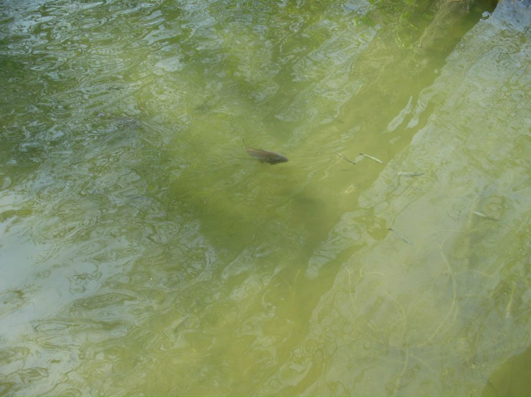 Алекс Гагарин Alex71 | Санкт-Петербург