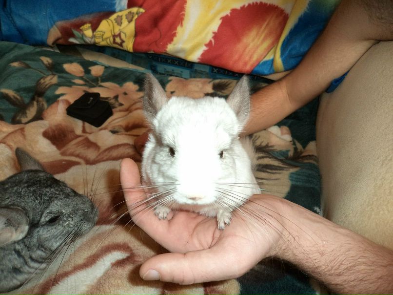 Ирина Сергеева | Пушкино