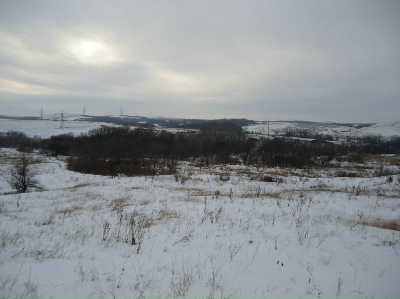 Дима Хачев | Донецк