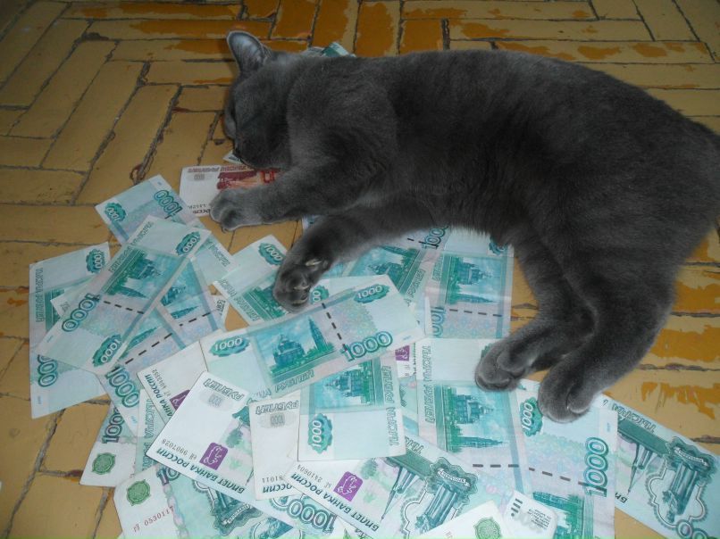 Вячеслав Банин | Новосибирск