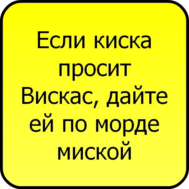 №197, Антон Антонов, 29 лет, Днепр (Днепропетровск) №197, Антон Антонов, 29 лет, Днепр (Днепропетровск)