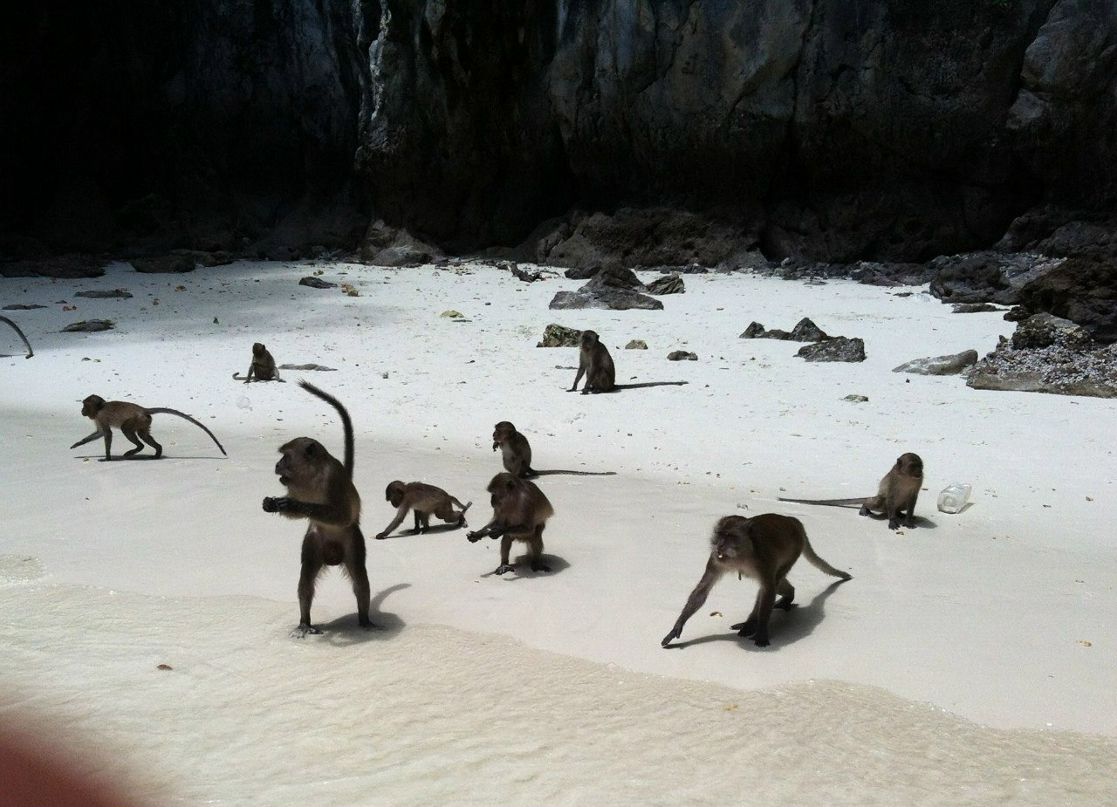 Гу Гу | Москва