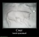 №39 Ольга Суворова 14.06: профиль, фото, статус - ВКонтакте №39 Ольга Суворова 14.06: профиль, фото, статус - ВКонтакте