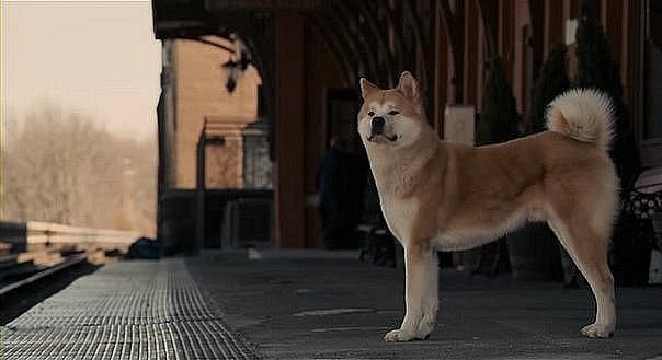 Олег Волков | Sydney