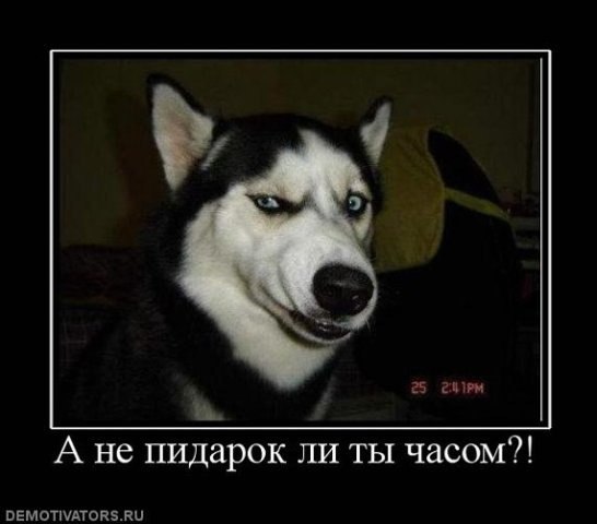 Сергей Хатов Hata | Бердичев