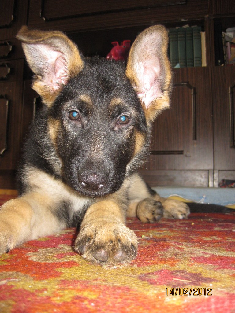 Ксения Дмитрова | Москва