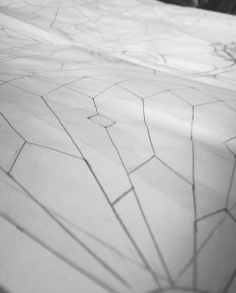 Павел Шевцов | Москва