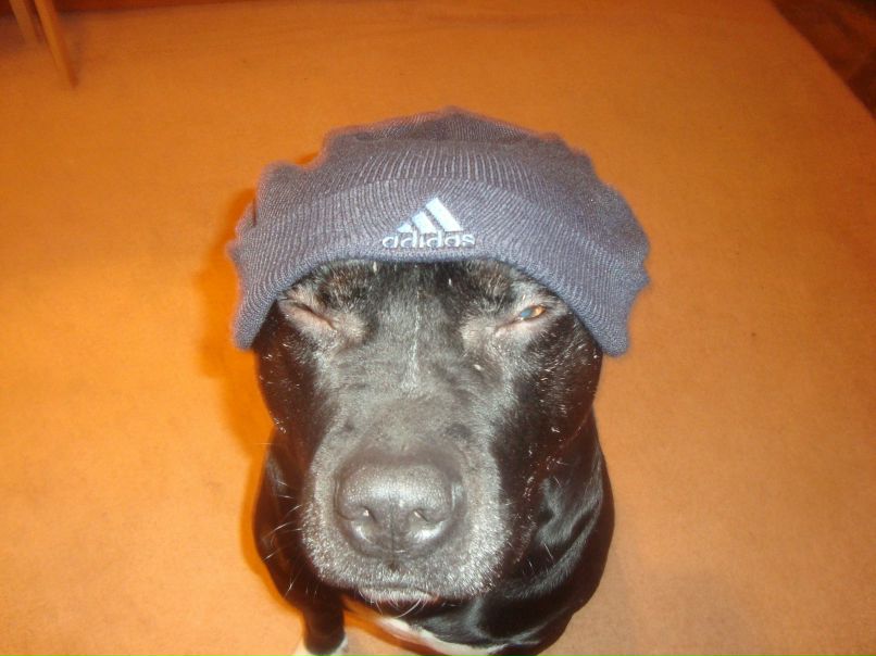 Вова Бух | Львов