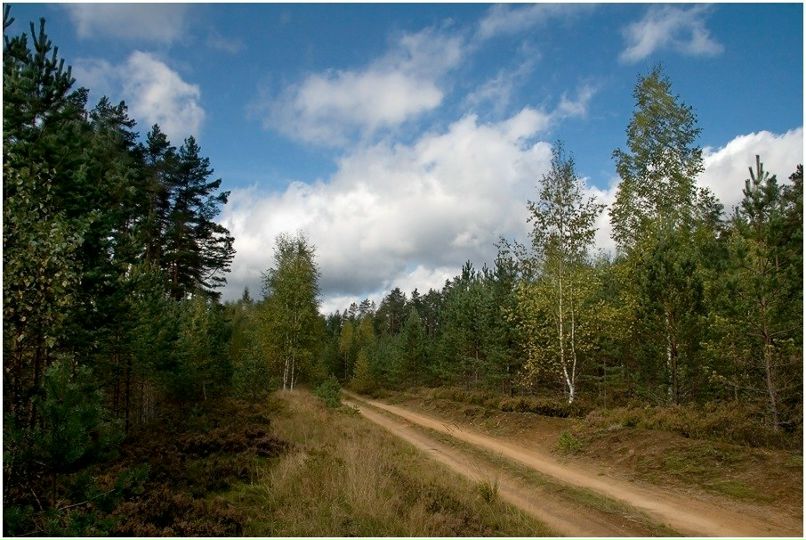 Виолетта Захватова | Москва