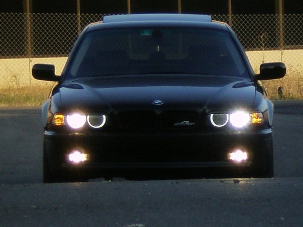 Рамзесi Тутанхамон фото профиля #1